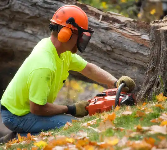 tree services Vadnais Heights